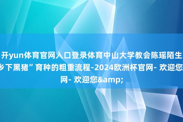 开yun体育官网入口登录体育中山大学教会陈瑶陌生享了“乡下黑猪”育种的粗重流程-2024欧洲杯官网- 欢迎您&