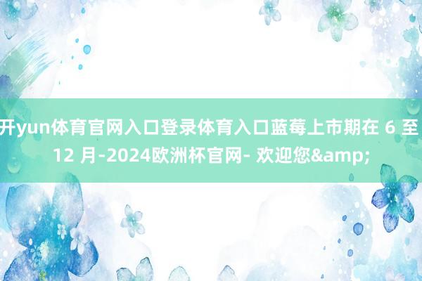 开yun体育官网入口登录体育入口蓝莓上市期在 6 至 12 月-2024欧洲杯官网- 欢迎您&
