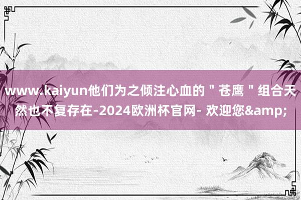 www.kaiyun他们为之倾注心血的＂苍鹰＂组合天然也不复存在-2024欧洲杯官网- 欢迎您&