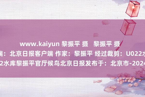 www.kaiyun 黎振平 摄   黎振平 摄   黎振平 摄   黎振平 摄  开端：北京日报客户端 作家：黎振平 经过裁剪：U022水库黎振平官厅候鸟北京日报发布于：北京市-2024欧洲杯官网- 欢迎您&