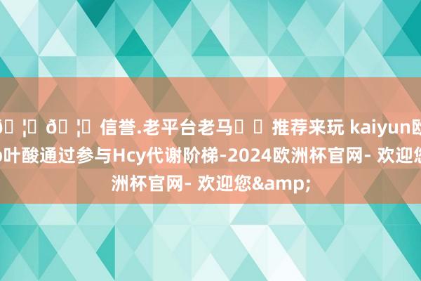 🦄🦄信誉.老平台老马✔️推荐来玩 kaiyun欧洲杯app叶酸通过参与Hcy代谢阶梯-2024欧洲杯官网- 欢迎您&