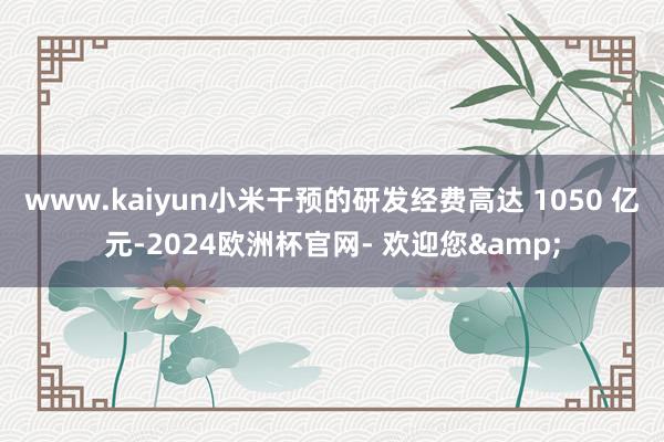www.kaiyun小米干预的研发经费高达 1050 亿元-2024欧洲杯官网- 欢迎您&
