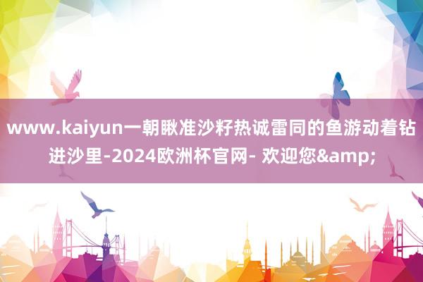 www.kaiyun一朝瞅准沙籽热诚雷同的鱼游动着钻进沙里-2024欧洲杯官网- 欢迎您&