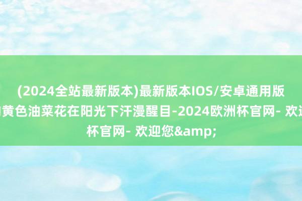 (2024全站最新版本)最新版本IOS/安卓通用版大片明艳的黄色油菜花在阳光下汗漫醒目-2024欧洲杯官网- 欢迎您&