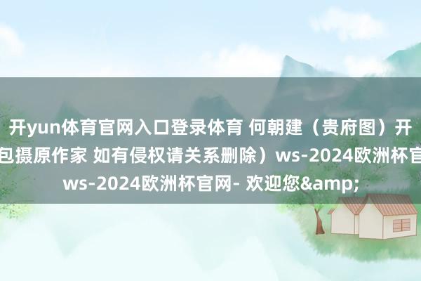 开yun体育官网入口登录体育 何朝建（贵府图）开端：政治儿（版权包摄原作家 如有侵权请关系删除）ws-2024欧洲杯官网- 欢迎您&