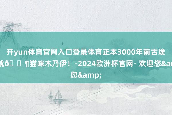 开yun体育官网入口登录体育正本3000年前古埃及 就🈶猫咪木乃伊！-2024欧洲杯官网- 欢迎您&