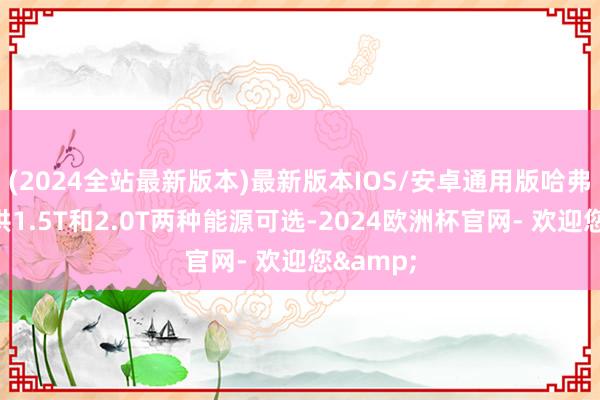 (2024全站最新版本)最新版本IOS/安卓通用版哈弗大狗提供1.5T和2.0T两种能源可选-2024欧洲杯官网- 欢迎您&
