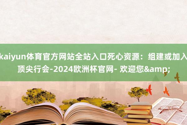 kaiyun体育官方网站全站入口死心资源：组建或加入顶尖行会-2024欧洲杯官网- 欢迎您&