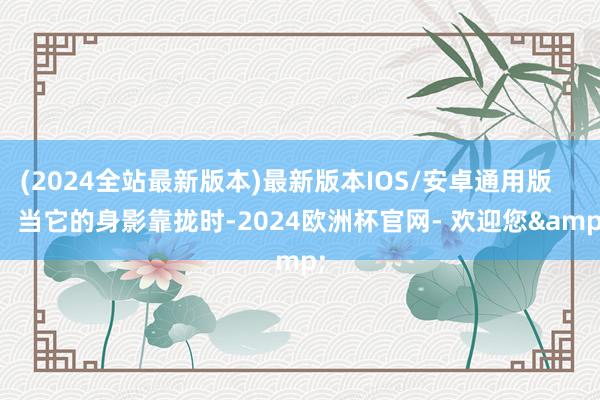 (2024全站最新版本)最新版本IOS/安卓通用版        当它的身影靠拢时-2024欧洲杯官网- 欢迎您&