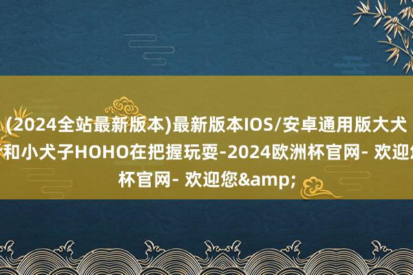 (2024全站最新版本)最新版本IOS/安卓通用版大犬子Jasper和小犬子HOHO在把握玩耍-2024欧洲杯官网- 欢迎您&