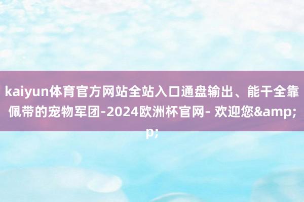 kaiyun体育官方网站全站入口通盘输出、能干全靠佩带的宠物军团-2024欧洲杯官网- 欢迎您&