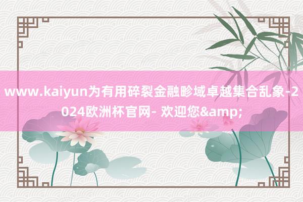 www.kaiyun为有用碎裂金融畛域卓越集合乱象-2024欧洲杯官网- 欢迎您&