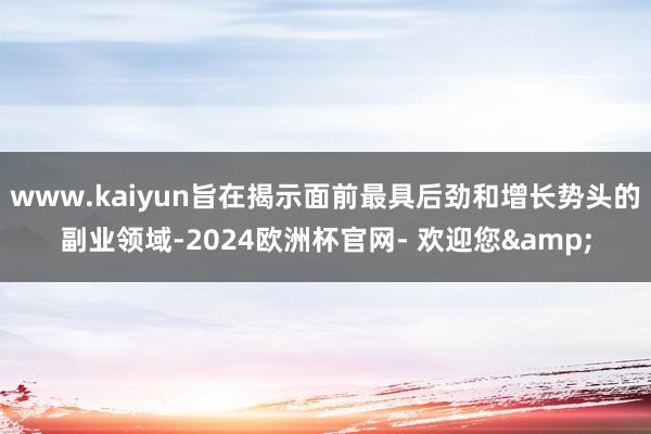 www.kaiyun旨在揭示面前最具后劲和增长势头的副业领域-2024欧洲杯官网- 欢迎您&