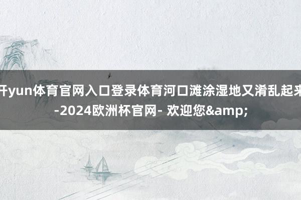 开yun体育官网入口登录体育河口滩涂湿地又淆乱起来-2024欧洲杯官网- 欢迎您&