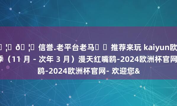 🦄🦄信誉.老平台老马✔️推荐来玩 kaiyun欧洲杯app冬季（11 月 - 次年 3 月）漫天红嘴鸥-2024欧洲杯官网- 欢迎您&