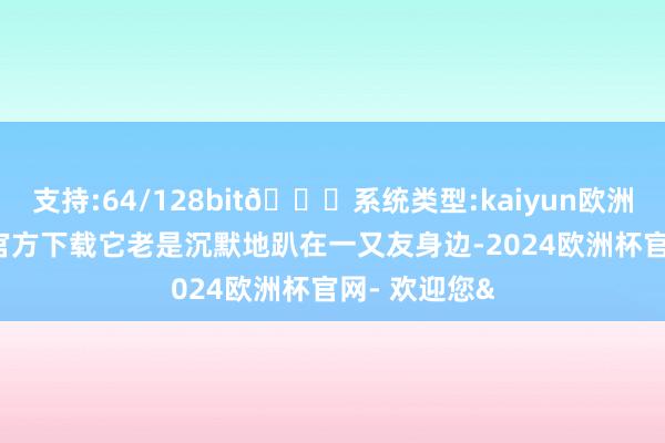 支持:64/128bit🍏系统类型:kaiyun欧洲杯appApp官方下载它老是沉默地趴在一又友身边-2024欧洲杯官网- 欢迎您&
