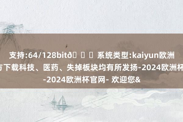 支持:64/128bit🍏系统类型:kaiyun欧洲杯appApp官方下载科技、医药、失掉板块均有所发扬-2024欧洲杯官网- 欢迎您&