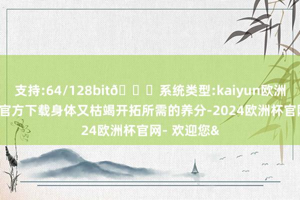 支持:64/128bit🍏系统类型:kaiyun欧洲杯appApp官方下载身体又枯竭开拓所需的养分-2024欧洲杯官网- 欢迎您&